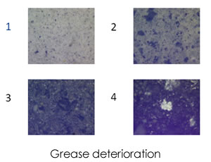 著細鐵和磁性磨損顆粒的增加，回轉軸承的惡化，第四張圖像顯示潤滑脂完全干燥